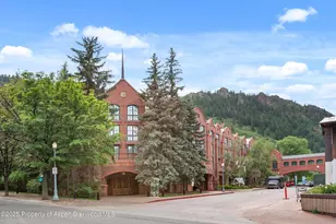 315 E Dean St, Aspen, CO 81611 - Photo 17