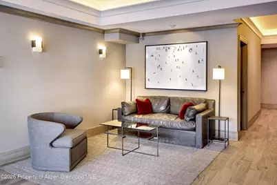 205 E Durant Avenue #1-B, Aspen, CO 81611 - Photo 11