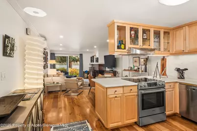 205 E Durant Avenue #1-B, Aspen, CO 81611 - Photo 5