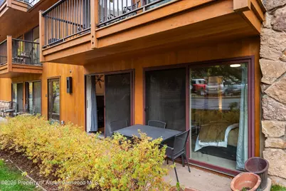 205 E Durant Avenue #1-B, Aspen, CO 81611 - Photo 9