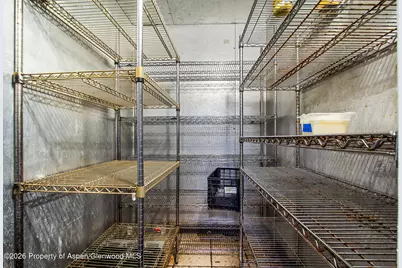 995 Cowen Drive #101, Carbondale, CO 81623 - Photo 13