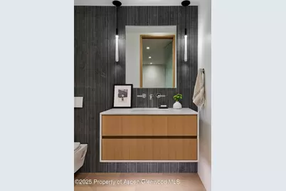 810 W Smuggler Street, Aspen, CO 81611 - Photo 41