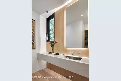 810 W Smuggler Street, Aspen, CO 81611 - Photo 19