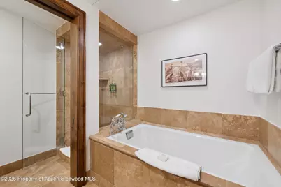 415 E Dean Street #23a, Week 8, Aspen, CO 81611 - Photo 5
