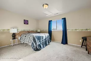 367 N Lake Ct, Fruita, CO 81521 - Photo 27