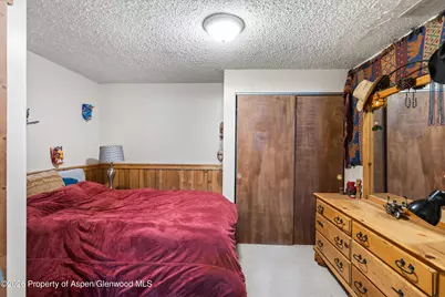 1603 Defiance Drive, Carbondale, CO 81623 - Photo 13