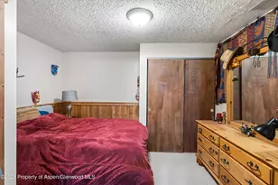 1603 Defiance Dr, Carbondale, CO 81623 - Photo 13