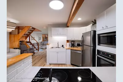 107 Aspen Mountain Road #3, Aspen, CO 81611 - Photo 19