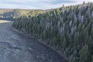 65061 Hwy 64, Meeker, CO 81641 - Photo 33