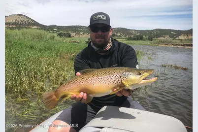 65061 Highway 64, Meeker, CO 81641 - Photo 15