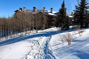 425 Wood Rd, Snowmass Village, CO 81615 - Photo 49