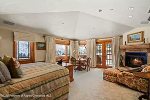 195 N Hayden Rd, Aspen, CO 81611 - Photo 17