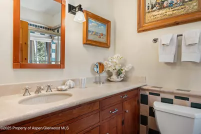 195 N Hayden Road, Aspen, CO 81611 - Photo 23