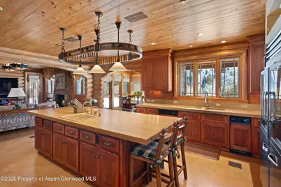 195 N Hayden Road, Aspen, CO 81611 - Photo 9