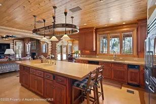 195 N Hayden Rd, Aspen, CO 81611 - Photo 9