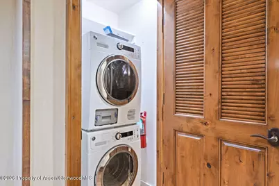 415 E Dean St., Unit 33, Week 32, Aspen, CO 81611 - Photo 31
