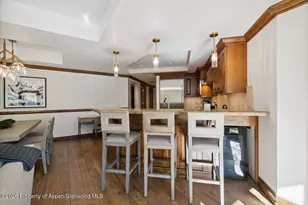 415 E Dean St Unit 33 Week 32, Aspen, CO 81611 - Photo 9