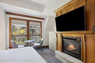 415 E Dean St Unit 35 Week 30, Aspen, CO 81611 - Photo 17