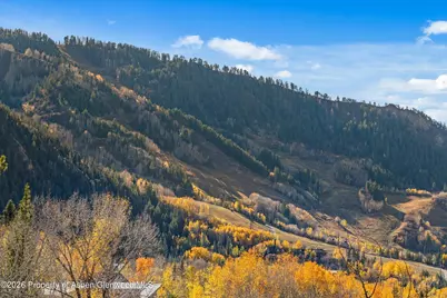 191 Skimming Lane, Aspen, CO 81611 - Photo 9