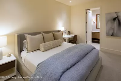 523 Walnut Street #A, Aspen, CO 81611 - Photo 19