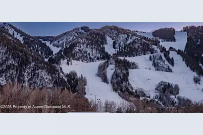 523 Walnut Street #A, Aspen, CO 81611 - Photo 31