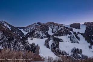 523 Walnut St, Aspen, CO 81611 - Photo 31