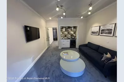 533 E Hopkins Avenue #102, Aspen, CO 81611 - Photo 7