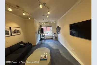 533 E Hopkins Avenue #102, Aspen, CO 81611 - Photo 5