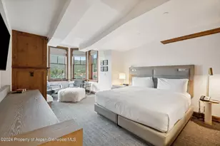 415 E Dean St Unit 28 Week 34, Aspen, CO 81611 - Photo 9