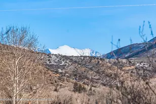 167 Picket Pin Ln, Snowmass, CO 81654 - Photo 25