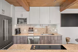 1024 E Cooper Ave, Aspen, CO 81611 - Photo 7