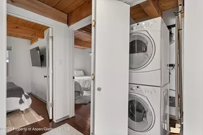 1024 E Cooper Avenue #3a, Aspen, CO 81611 - Photo 11