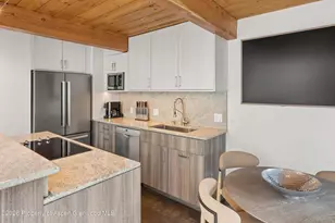 1024 E Cooper Ave, Aspen, CO 81611 - Photo 5