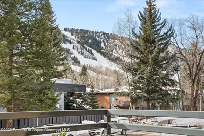 1024 E Cooper Avenue #3a, Aspen, CO 81611 - Photo 17