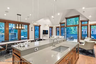 719 E Hopkins Avenue #202, Aspen, CO 81611 - Photo 9