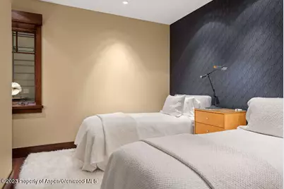 719 E Hopkins Avenue #202, Aspen, CO 81611 - Photo 33