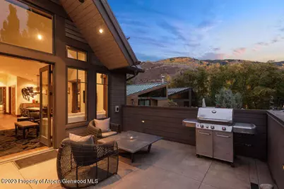 719 E Hopkins Avenue #202, Aspen, CO 81611 - Photo 3