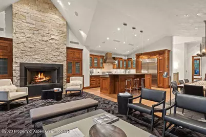 719 E Hopkins Avenue #202, Aspen, CO 81611 - Photo 5