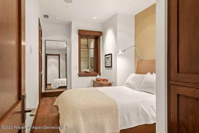 719 E Hopkins Avenue #202, Aspen, CO 81611 - Photo 31