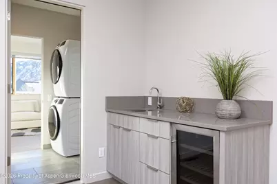 113 Valley Court, Basalt, CO 81621 - Photo 29