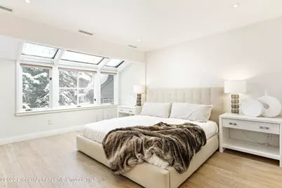 100 N 8th Street #20, Aspen, CO 81611 - Photo 9