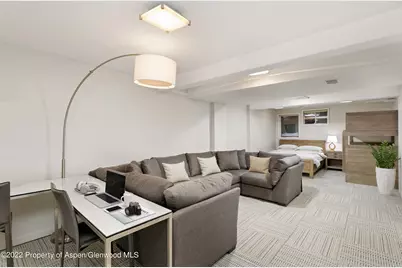 100 N 8th Street #20, Aspen, CO 81611 - Photo 15