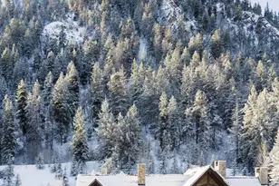 1011 Ute Ave, Aspen, CO 81611 - Photo 3