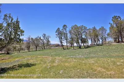 58798 Delores Drive, Collbran, CO 81624 - Photo 7