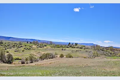 58798 Delores Drive, Collbran, CO 81624 - Photo 15