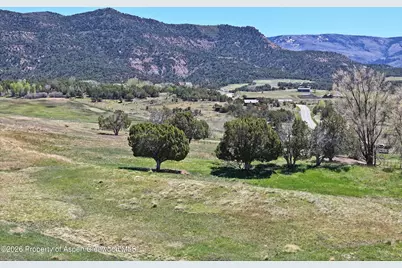 58798 Delores Drive, Collbran, CO 81624 - Photo 11