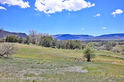 58798 Delores Drive, Collbran, CO 81624 - Photo 5