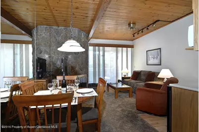 301 E Hyman Avenue #103 (Wks. 26,36,51), Aspen, CO 81611 - Photo 7