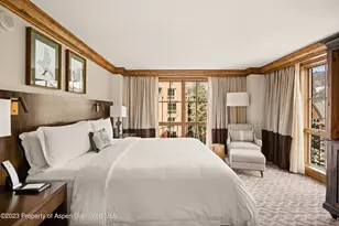 315 E Dean St, Aspen, CO 81611 - Photo 11