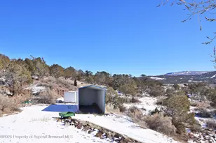 9972 52 1/2 Rd, Molina, CO 81646 - Photo 27